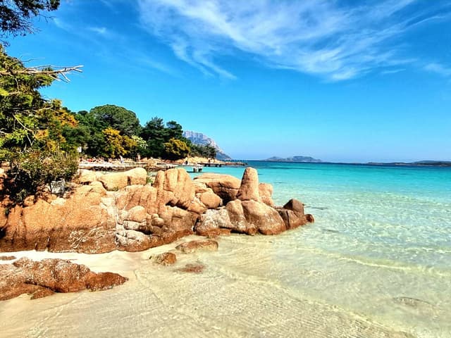 Photo by Marcel K. (4/14/26)