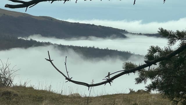 Фото 6 от Grigori G. об аренде Toyota C-HR в Софии (25.02.26)