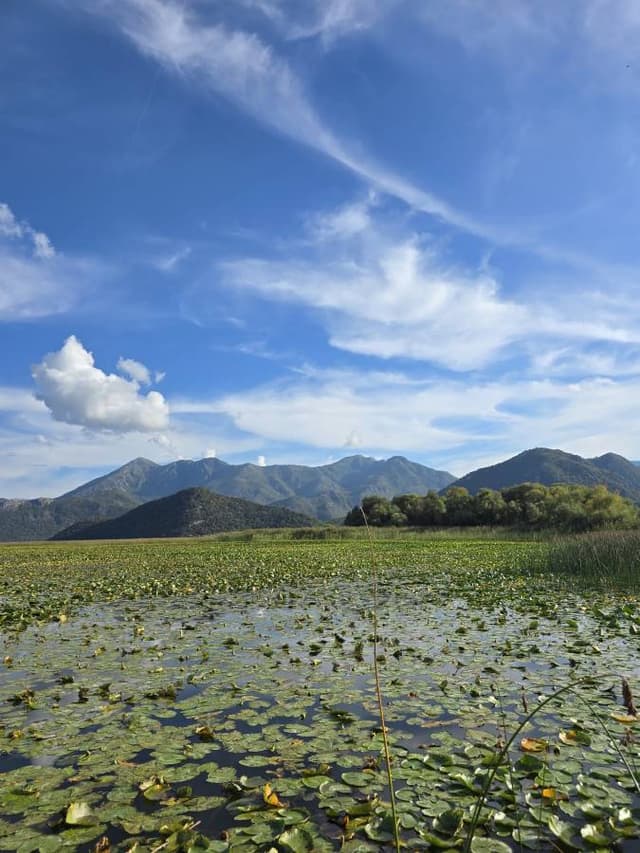 Zdjęcie 4 wykonane przez Patryk L. (26.09.25)
