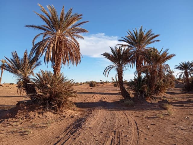 Photo 11 par Gilbert C. (28/01/26)