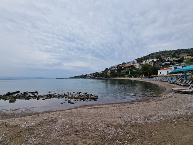 Fotografia 2 realizată de Daniel L. (13.05.23)