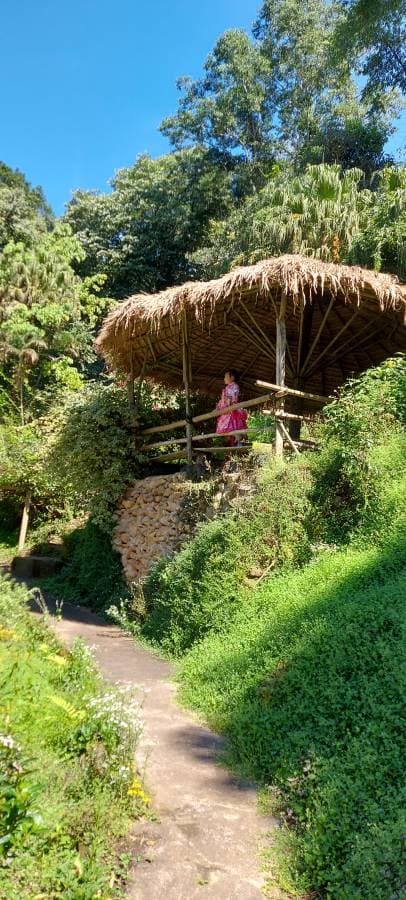 Photo 1 by Kok Loon Y. (11/4/25)