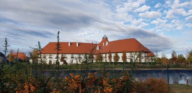 Henkilön Natalia O. kuva 3 (3.11.25)