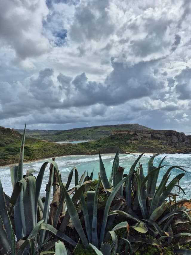 Zdjęcie 4 wykonane przez Ewa P. (5.04.26)