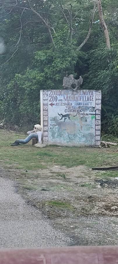 Photo 6 by Matthew S. (1/11/24)