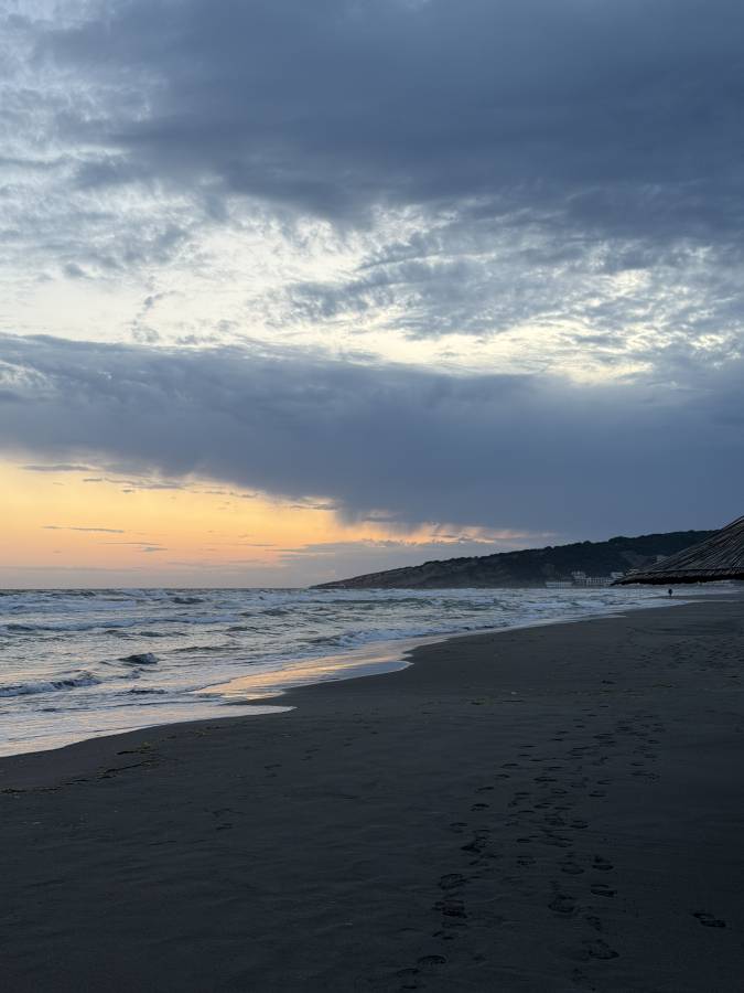 Foto 3 von Aldin Z. (14.6.26)