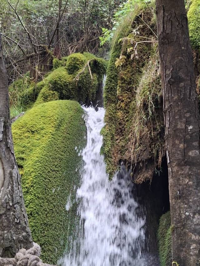 Photo 6 by Joanne H. about hiring a Fiat 500X in Naples (18.09.24)