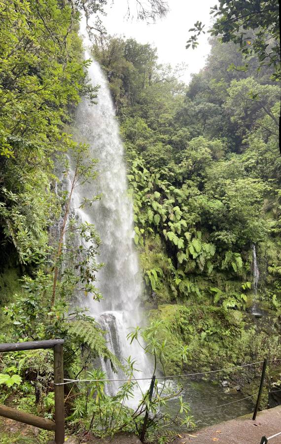 Foto 4 van Alinda D. (4-11-24)