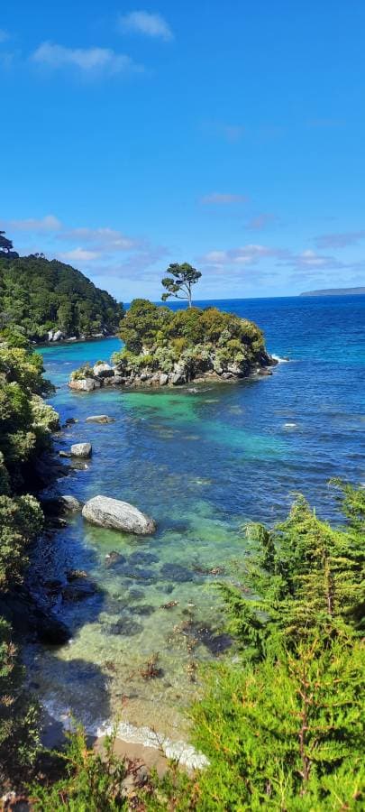 Photo 8 by Michael D. (2/5/26)