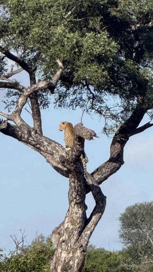 Photo 6 by Faisal A. (4/18/26)