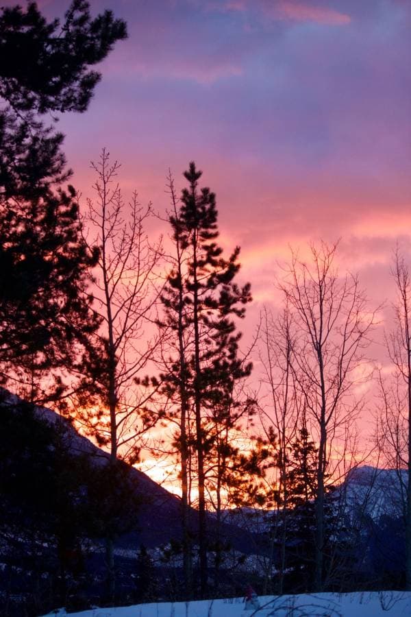 Photo 6 by Kempes N. (2/28/26)