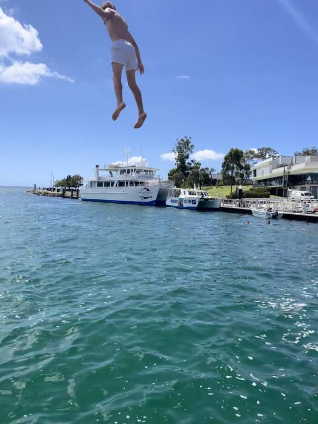 Photo 3 by PAULINE C. (12/31/23)