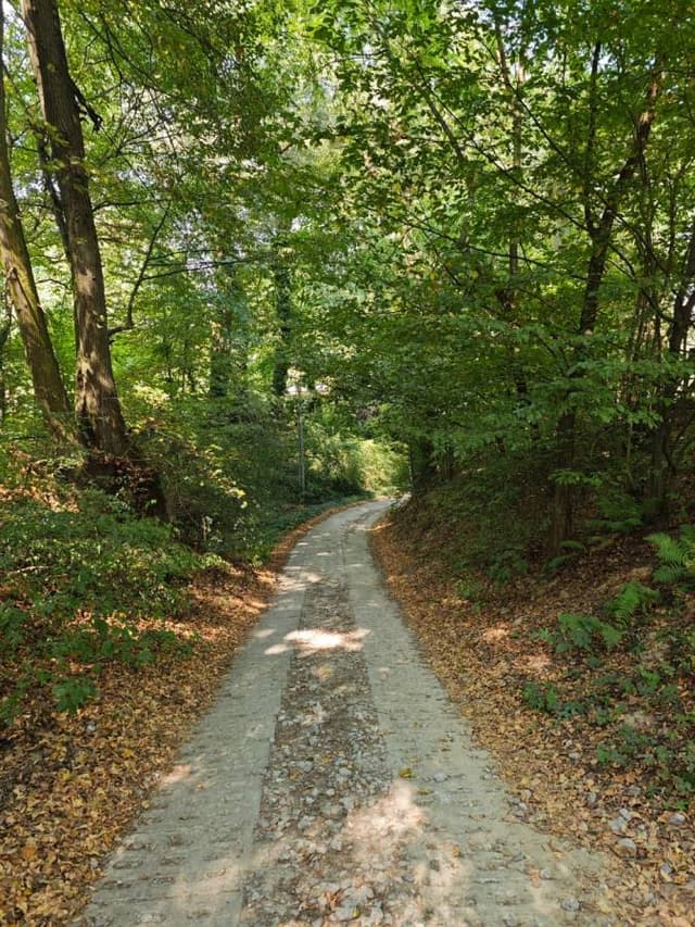 Photo 1 by Abdullah A. about renting a Mazda CX-3 at Warsaw Airport (9/10/24)