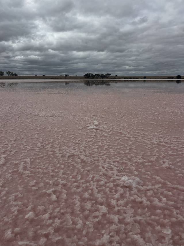 Foto 2 di Marco M. (19/02/26)