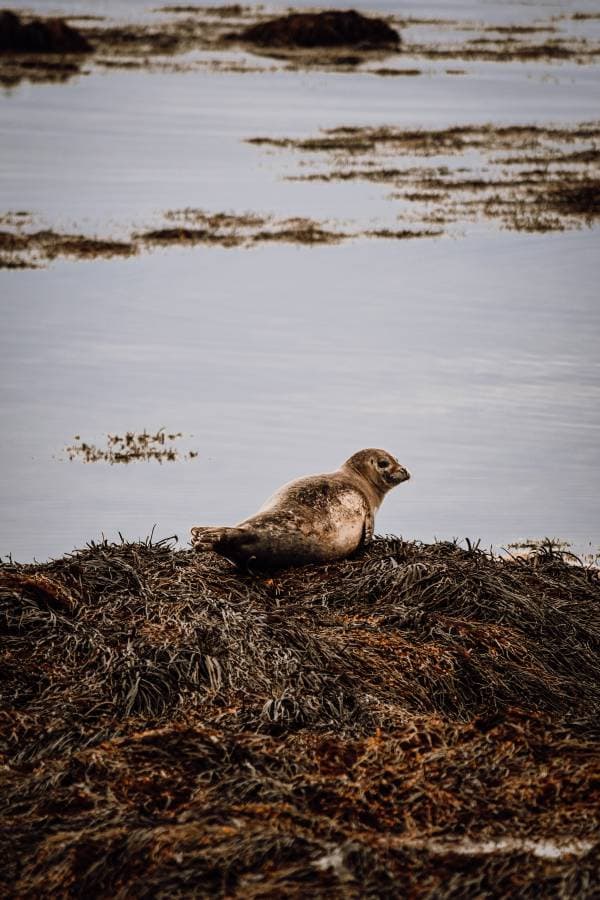 Foto 4 od Adam V. o pronájmu Suzuki SX4 S-Cross na Islandu (6/26/25)