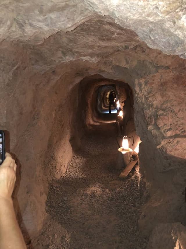 Photo 2 by Terry S. (10/31/23)