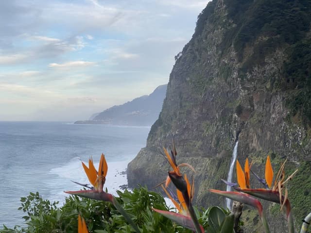 Фото от Artur A. (09.02.26)