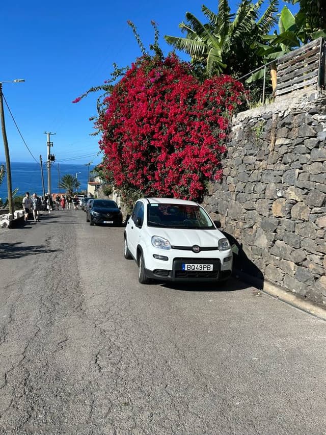 Foto 3 de Elsa B. (24/11/25)