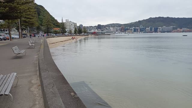 Photo 2 by Paul P. about renting a Toyota Corolla in New Zealand (9/16/25)