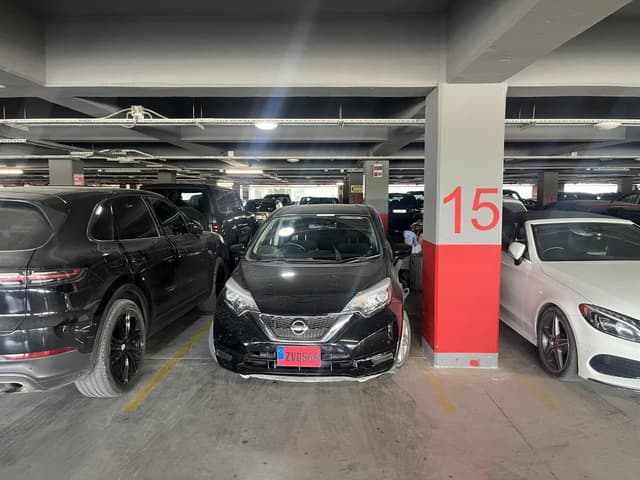 Фото от Niko P. (06.10.25)