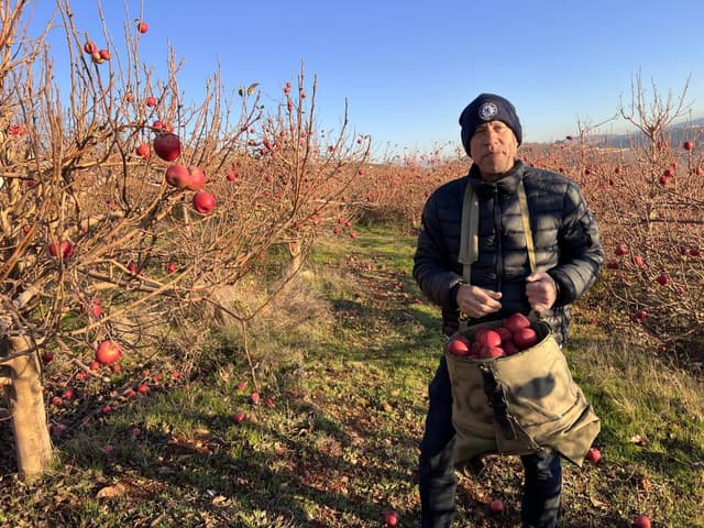 Photo 3 by Trevor T. about hiring a Hyundai i10 in Tel Aviv (17.12.24)