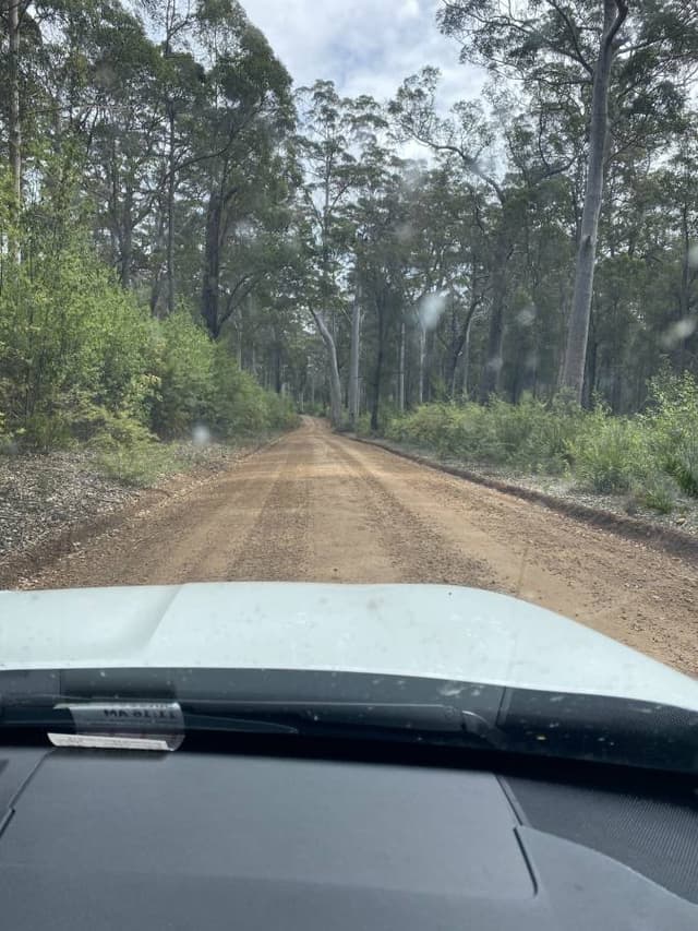 Photo 5 by Andrew M. (11/2/25)