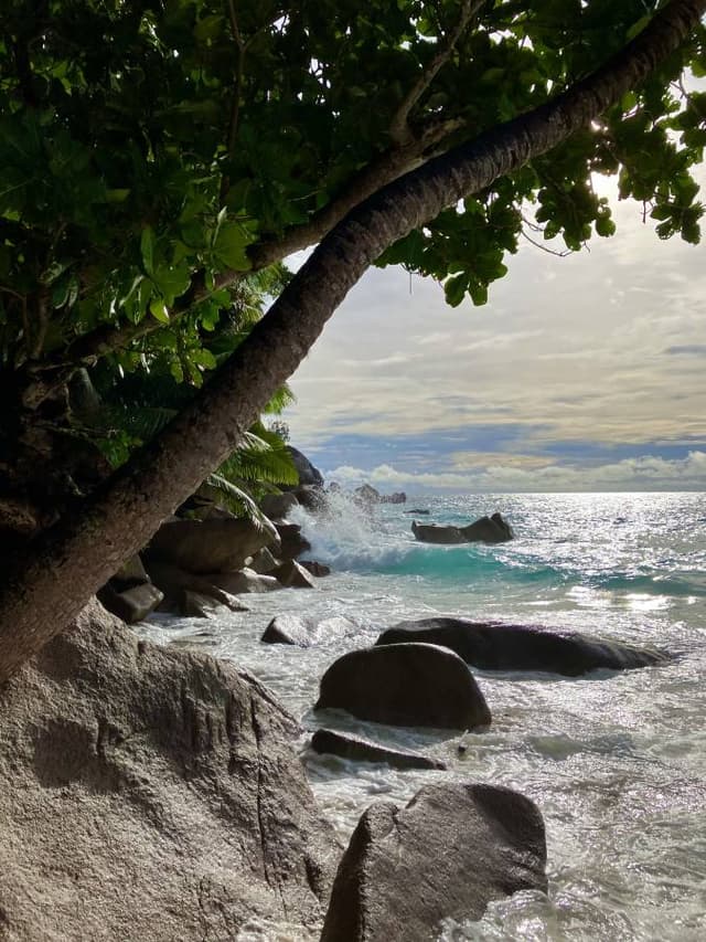 Photo 10 by Kenton S. about hiring a Hyundai Grand i10 in Victoria (13.05.24)