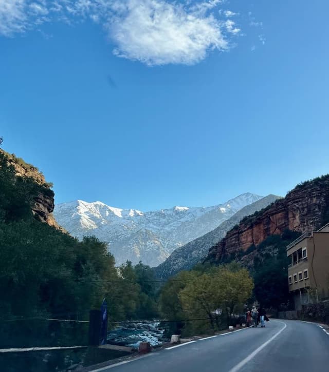 Foto 2 van Meaghan H. (12-12-25)