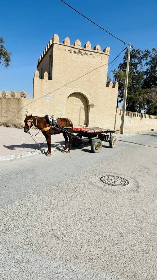 Foto 5 van Franciscus H. over het huren van een Citroën C Elysee in Tunis (25-2-25)