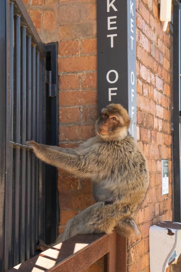 Foto 2 van Claudine V. over het huren van een Renault Clio in Malaga (29-5-25)