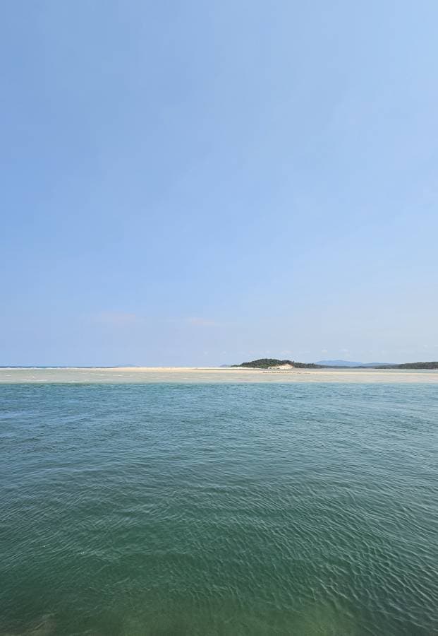 Photo 2 by Thomas E. (2/4/26)