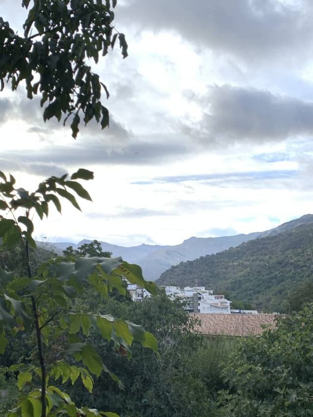 Photo 3 by Lucia A. about renting a Ford Focus in Granada (9/29/25)