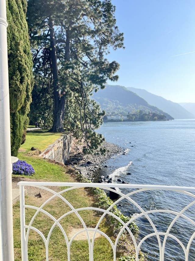 Photo 3 by Andreea P. (4/15/26)