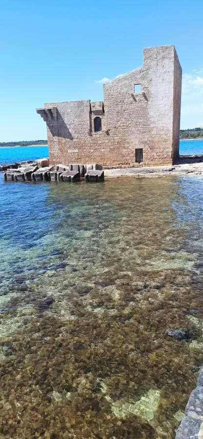Foto 7 di Marco P. (25/04/25)