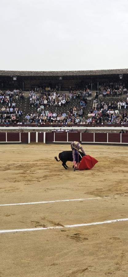 Photo by Marginean P. (4/18/26)