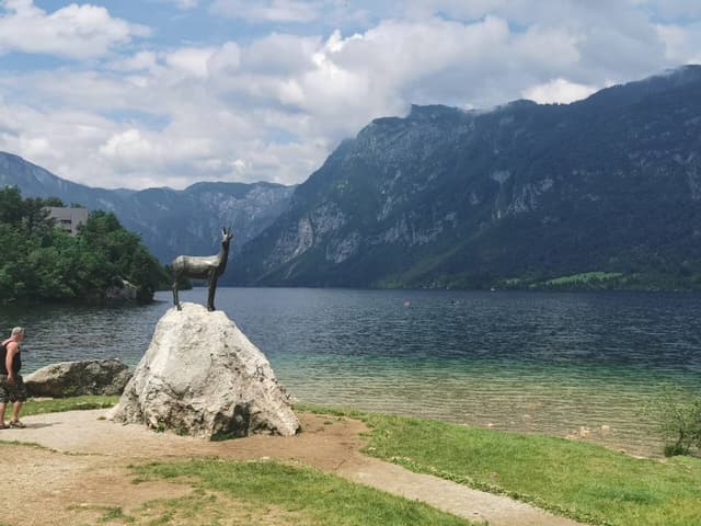 Фото 4 от Konstantin A. об аренде Suzuki Swift в Вене (26.06.24)