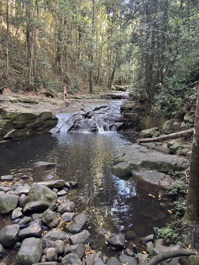 Photo 3 by Abbey P. (10/18/25)