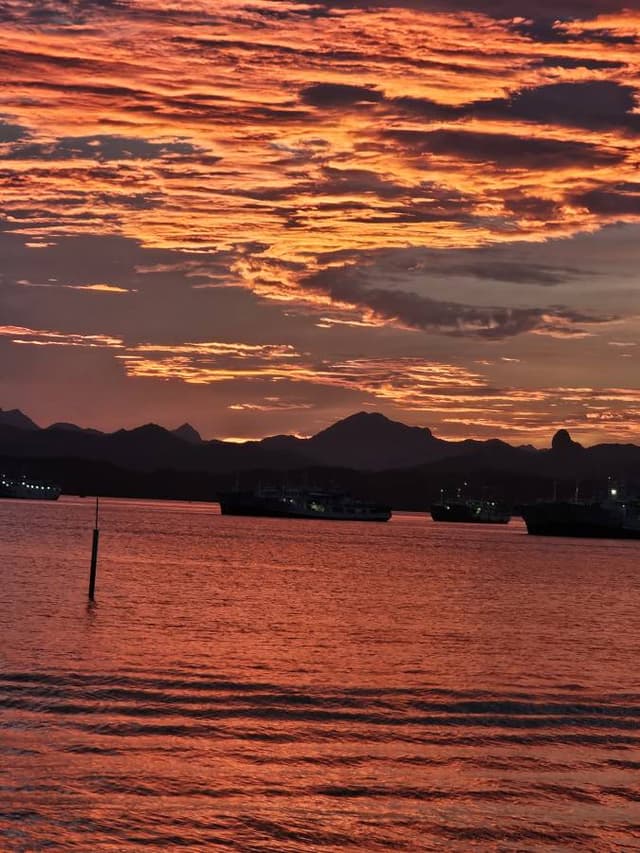 Photo 7 by aRICHARD L. (5/2/26)