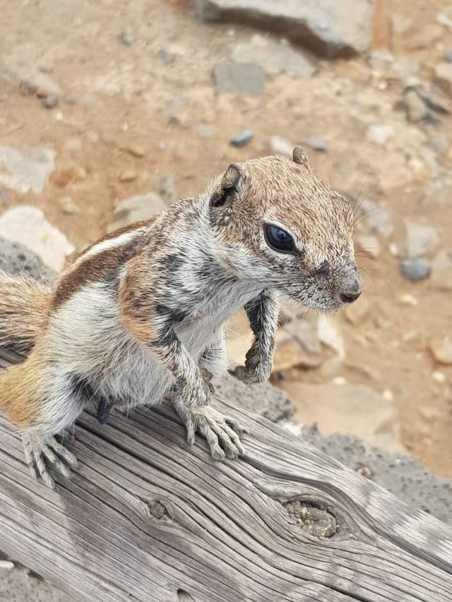 Photo 4 par Albane G. (25/05/25)