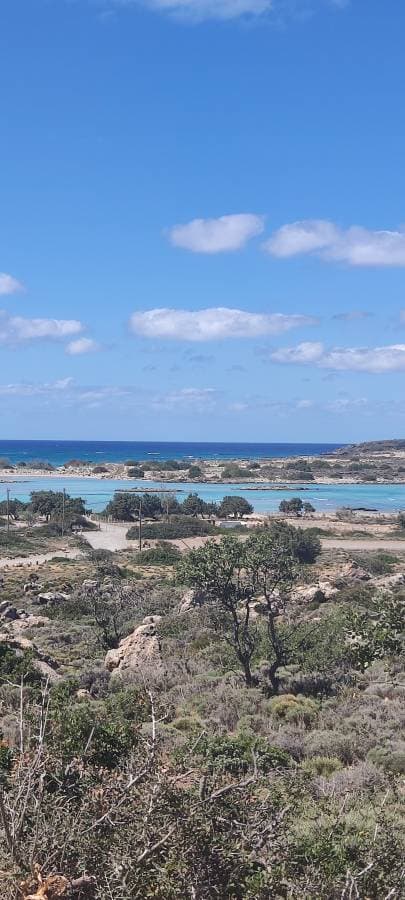 Photo 2 by Elzbieta B. about renting a Fiat Panda at Crete Airport Chania (5/1/24)