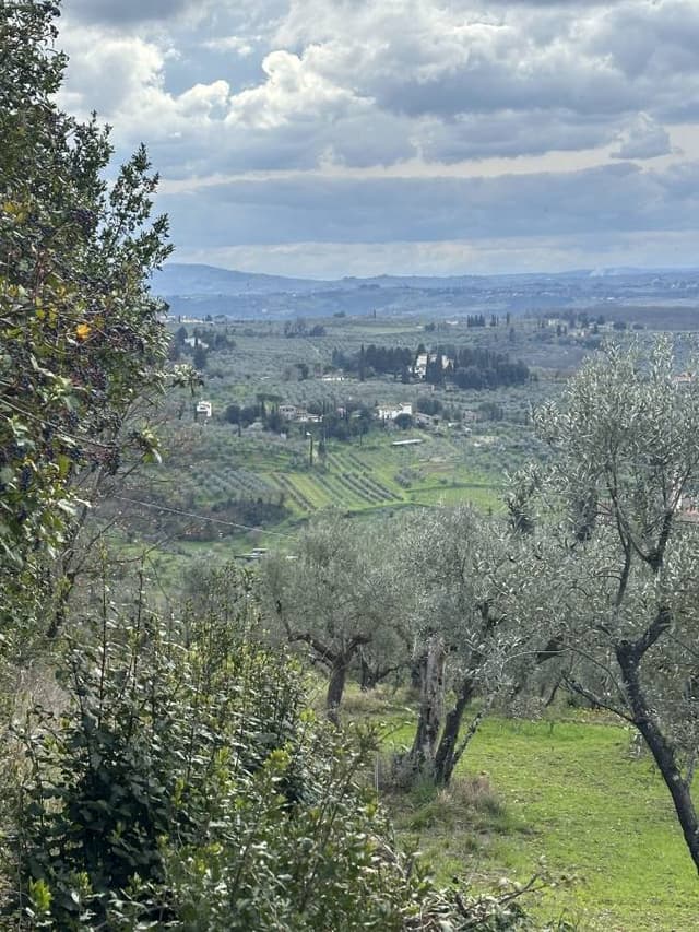 Photo 3 by Charlene S. about renting a Volkswagen Polo in Florence (3/16/24)