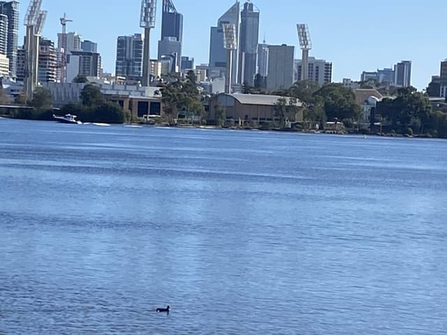 Photo 4 by Stewart M. about renting a Kia Cerato in Perth (6/12/25)