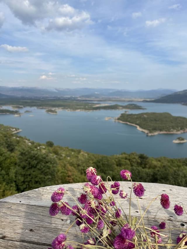 Foto 2 van Bart C. (23-8-25)