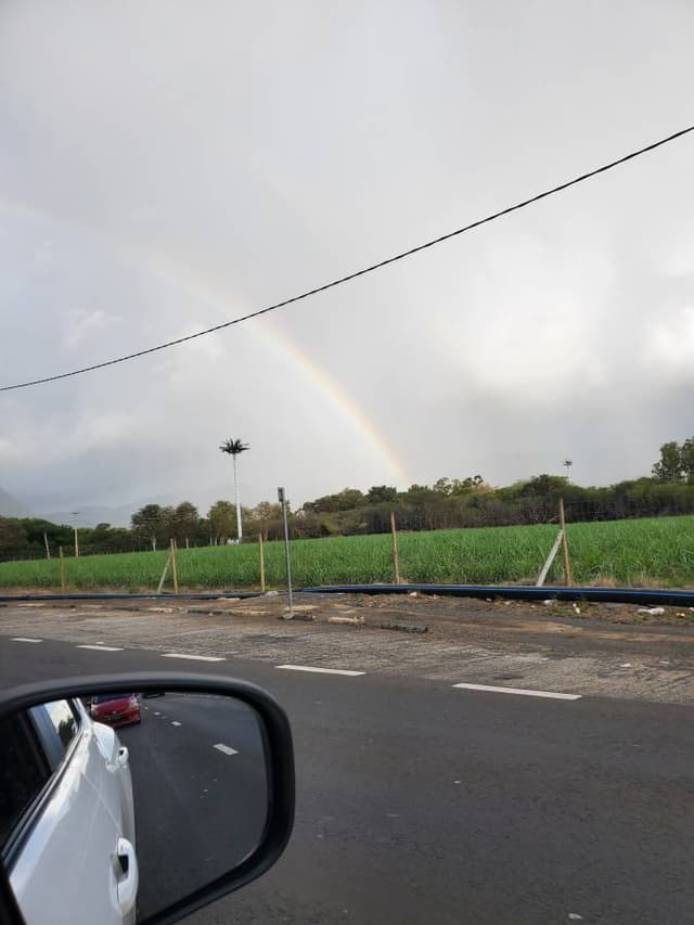 Foto 2 de Silvio F. (14/11/25)