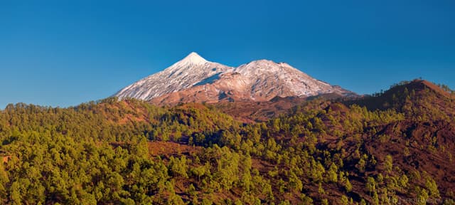 Photo by Martin M. about renting a Citroen C3 in Tenerife (1/1/25)