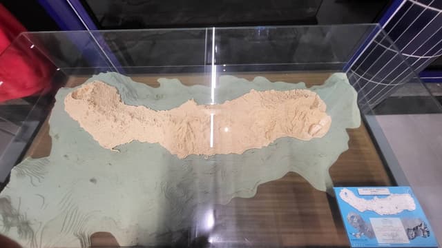 Photo 8 by George D. (10/19/25)