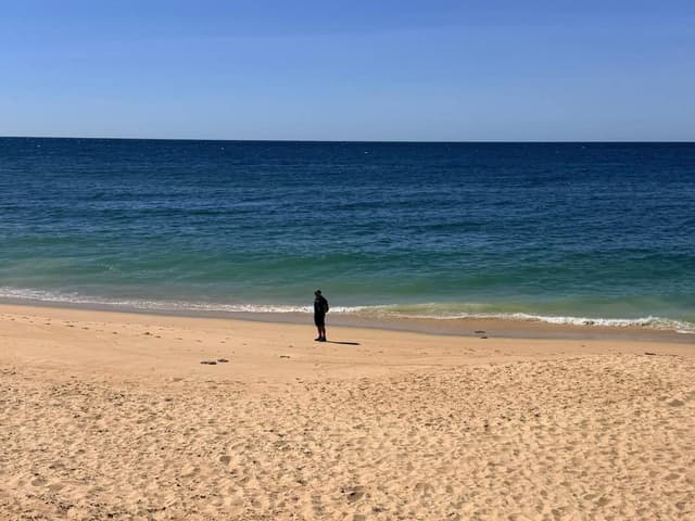 Photo 3 by John B. (3/31/26)