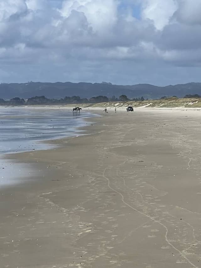 Foto 7 van Harry V. (10-3-26)