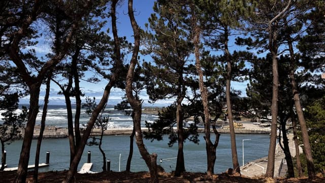 Photo 11 by Mohan S. (4/14/26)