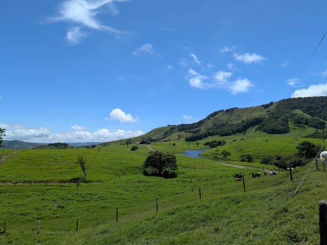 Photo 2 by Joost V. (5/6/26)